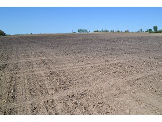 Property photo 14 - LAND AUCTION - 90+/- ACRES IN 1 TRACT IN NEWTON COUNTY, INDIANA
