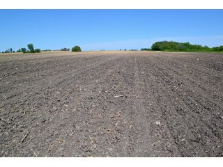 Property photo 15 - LAND AUCTION - 90+/- ACRES IN 1 TRACT IN NEWTON COUNTY, INDIANA