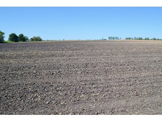 Property photo 16 - LAND AUCTION - 90+/- ACRES IN 1 TRACT IN NEWTON COUNTY, INDIANA