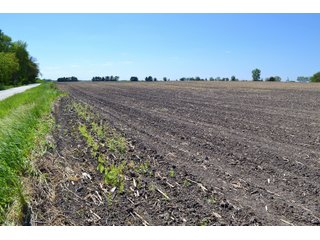Property photo 17 - LAND AUCTION - 90+/- ACRES IN 1 TRACT IN NEWTON COUNTY, INDIANA