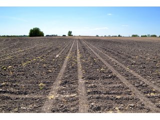 Property photo 19 - LAND AUCTION - 90+/- ACRES IN 1 TRACT IN NEWTON COUNTY, INDIANA