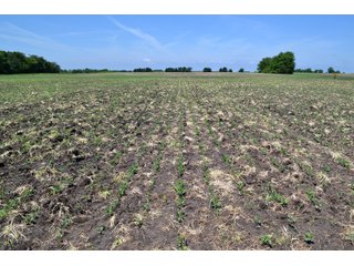 Property photo 23 - LAND AUCTION - 90+/- ACRES IN 1 TRACT IN NEWTON COUNTY, INDIANA