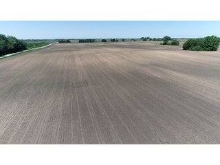 Property photo 3 - LAND AUCTION - 90+/- ACRES IN 1 TRACT IN NEWTON COUNTY, INDIANA