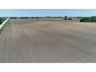 Property photo 4 - LAND AUCTION - 90+/- ACRES IN 1 TRACT IN NEWTON COUNTY, INDIANA