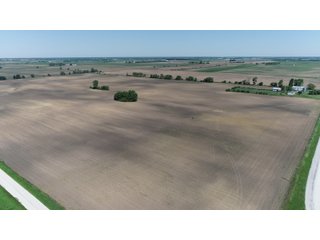 Property photo 11 - LAND AUCTION - 90+/- ACRES IN 1 TRACT IN NEWTON COUNTY, INDIANA