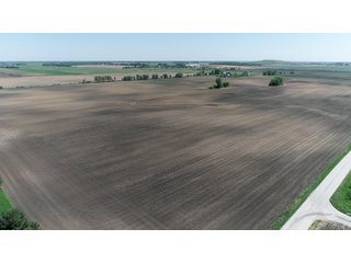 Property photo 9 - LAND AUCTION - 90+/- ACRES IN 1 TRACT IN NEWTON COUNTY, INDIANA