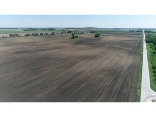 Property photo 8 - LAND AUCTION - 90+/- ACRES IN 1 TRACT IN NEWTON COUNTY, INDIANA