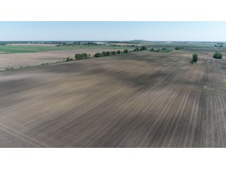 Property photo 7 - LAND AUCTION - 90+/- ACRES IN 1 TRACT IN NEWTON COUNTY, INDIANA