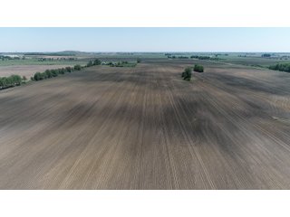 Property photo 6 - LAND AUCTION - 90+/- ACRES IN 1 TRACT IN NEWTON COUNTY, INDIANA
