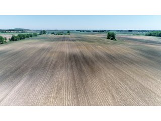 Property photo 5 - LAND AUCTION - 90+/- ACRES IN 1 TRACT IN NEWTON COUNTY, INDIANA