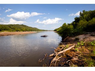 Property photo 4 - LAND AUCTION 23.4+/- ACRES OFFERED IN 1 TRACT IN HUGHES COUNTY, OK