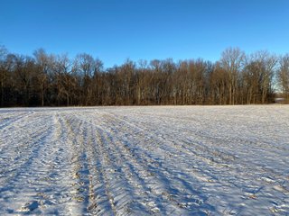 Property photo 6 - LAND AUCTION - 167.92+/- ACRES OFFERED IN 2 TRACTS - ST. JOSEPH COUNTY, IN