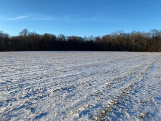 Property photo 5 - LAND AUCTION - 167.92+/- ACRES OFFERED IN 2 TRACTS - ST. JOSEPH COUNTY, IN