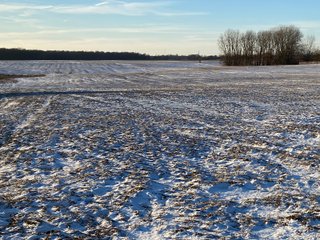 Property photo 2 - LAND AUCTION - 167.92+/- ACRES OFFERED IN 2 TRACTS - ST. JOSEPH COUNTY, IN