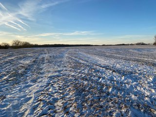 Property photo 4 - LAND AUCTION - 167.92+/- ACRES OFFERED IN 2 TRACTS - ST. JOSEPH COUNTY, IN