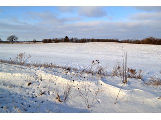 Property photo 21 - LAND AUCTION 43.2 +/- ACRES OFFERED IN 2 TRACTS OR COMBINATION IN MCHENRY COUNTY, IL