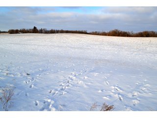 Property photo 22 - LAND AUCTION 43.2 +/- ACRES OFFERED IN 2 TRACTS OR COMBINATION IN MCHENRY COUNTY, IL