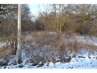 Property photo 26 - LAND AUCTION 43.2 +/- ACRES OFFERED IN 2 TRACTS OR COMBINATION IN MCHENRY COUNTY, IL
