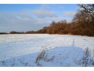 Property photo 27 - LAND AUCTION 43.2 +/- ACRES OFFERED IN 2 TRACTS OR COMBINATION IN MCHENRY COUNTY, IL