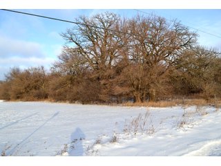 Property photo 29 - LAND AUCTION 43.2 +/- ACRES OFFERED IN 2 TRACTS OR COMBINATION IN MCHENRY COUNTY, IL