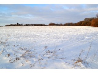 Property photo 30 - LAND AUCTION 43.2 +/- ACRES OFFERED IN 2 TRACTS OR COMBINATION IN MCHENRY COUNTY, IL