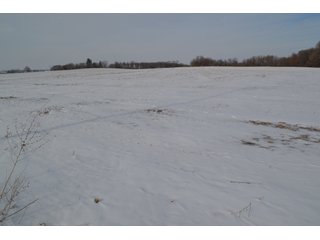 Property photo 42 - LAND AUCTION 43.2 +/- ACRES OFFERED IN 2 TRACTS OR COMBINATION IN MCHENRY COUNTY, IL
