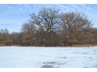 Property photo 43 - LAND AUCTION 43.2 +/- ACRES OFFERED IN 2 TRACTS OR COMBINATION IN MCHENRY COUNTY, IL