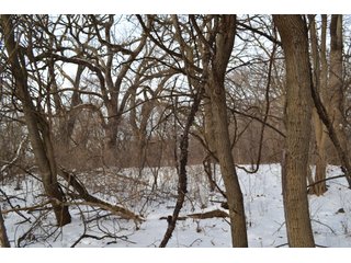 Property photo 44 - LAND AUCTION 43.2 +/- ACRES OFFERED IN 2 TRACTS OR COMBINATION IN MCHENRY COUNTY, IL