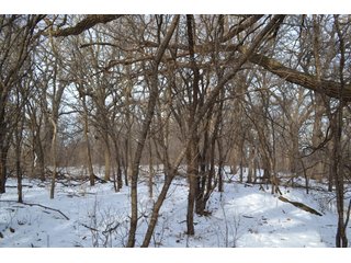 Property photo 2 - LAND AUCTION 43.2 +/- ACRES OFFERED IN 2 TRACTS OR COMBINATION IN MCHENRY COUNTY, IL