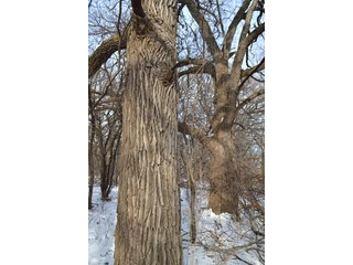 Property photo 8 - LAND AUCTION 43.2 +/- ACRES OFFERED IN 2 TRACTS OR COMBINATION IN MCHENRY COUNTY, IL