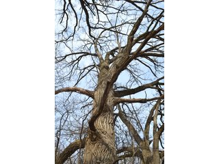 Property photo 7 - LAND AUCTION 43.2 +/- ACRES OFFERED IN 2 TRACTS OR COMBINATION IN MCHENRY COUNTY, IL