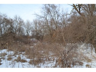 Property photo 6 - LAND AUCTION 43.2 +/- ACRES OFFERED IN 2 TRACTS OR COMBINATION IN MCHENRY COUNTY, IL