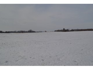 Property photo 5 - LAND AUCTION 43.2 +/- ACRES OFFERED IN 2 TRACTS OR COMBINATION IN MCHENRY COUNTY, IL