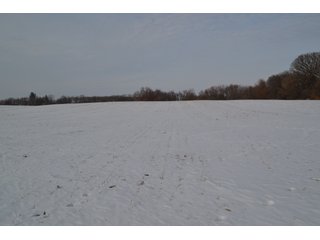 Property photo 4 - LAND AUCTION 43.2 +/- ACRES OFFERED IN 2 TRACTS OR COMBINATION IN MCHENRY COUNTY, IL