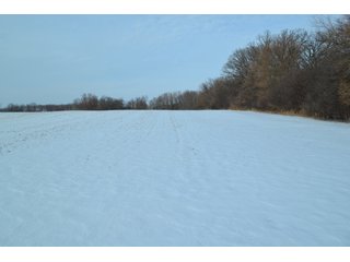 Property photo 3 - LAND AUCTION 43.2 +/- ACRES OFFERED IN 2 TRACTS OR COMBINATION IN MCHENRY COUNTY, IL