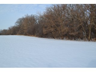 Property photo 1 - LAND AUCTION 43.2 +/- ACRES OFFERED IN 2 TRACTS OR COMBINATION IN MCHENRY COUNTY, IL