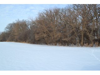 Property photo 10 - LAND AUCTION 43.2 +/- ACRES OFFERED IN 2 TRACTS OR COMBINATION IN MCHENRY COUNTY, IL