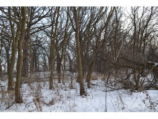 Property photo 11 - LAND AUCTION 43.2 +/- ACRES OFFERED IN 2 TRACTS OR COMBINATION IN MCHENRY COUNTY, IL