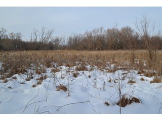 Property photo 13 - LAND AUCTION 43.2 +/- ACRES OFFERED IN 2 TRACTS OR COMBINATION IN MCHENRY COUNTY, IL
