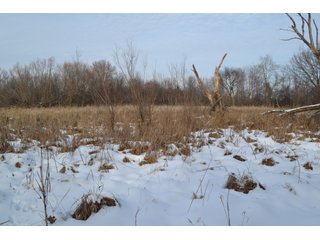 Property photo 14 - LAND AUCTION 43.2 +/- ACRES OFFERED IN 2 TRACTS OR COMBINATION IN MCHENRY COUNTY, IL