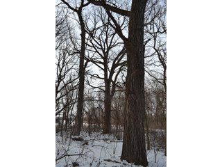 Property photo 15 - LAND AUCTION 43.2 +/- ACRES OFFERED IN 2 TRACTS OR COMBINATION IN MCHENRY COUNTY, IL