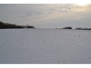 Property photo 16 - LAND AUCTION 43.2 +/- ACRES OFFERED IN 2 TRACTS OR COMBINATION IN MCHENRY COUNTY, IL