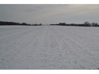 Property photo 17 - LAND AUCTION 43.2 +/- ACRES OFFERED IN 2 TRACTS OR COMBINATION IN MCHENRY COUNTY, IL