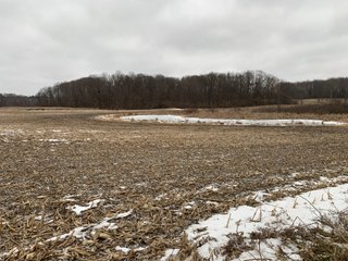 Property photo 1 - REAL ESTATE AUCTION 44+/- ACRES OFFERED IN 1 TRACT IN ST. JOSEPH COUNTY, IN