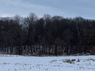 Property photo 2 - REAL ESTATE AUCTION 44+/- ACRES OFFERED IN 1 TRACT IN ST. JOSEPH COUNTY, IN