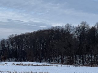 Property photo 3 - REAL ESTATE AUCTION 44+/- ACRES OFFERED IN 1 TRACT IN ST. JOSEPH COUNTY, IN