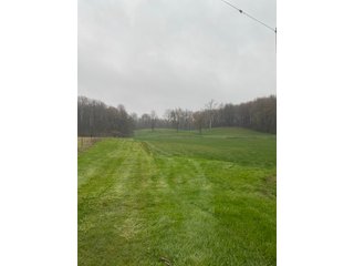 Property photo 4 - REAL ESTATE AUCTION 44+/- ACRES OFFERED IN 1 TRACT IN ST. JOSEPH COUNTY, IN