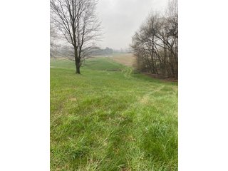 Property photo 5 - REAL ESTATE AUCTION 44+/- ACRES OFFERED IN 1 TRACT IN ST. JOSEPH COUNTY, IN