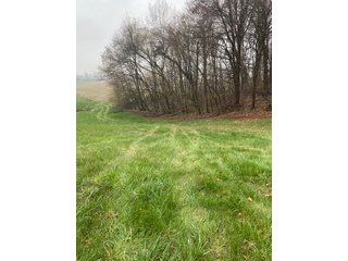 Property photo 6 - REAL ESTATE AUCTION 44+/- ACRES OFFERED IN 1 TRACT IN ST. JOSEPH COUNTY, IN