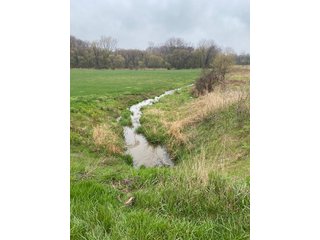 Property photo 8 - REAL ESTATE AUCTION 44+/- ACRES OFFERED IN 1 TRACT IN ST. JOSEPH COUNTY, IN